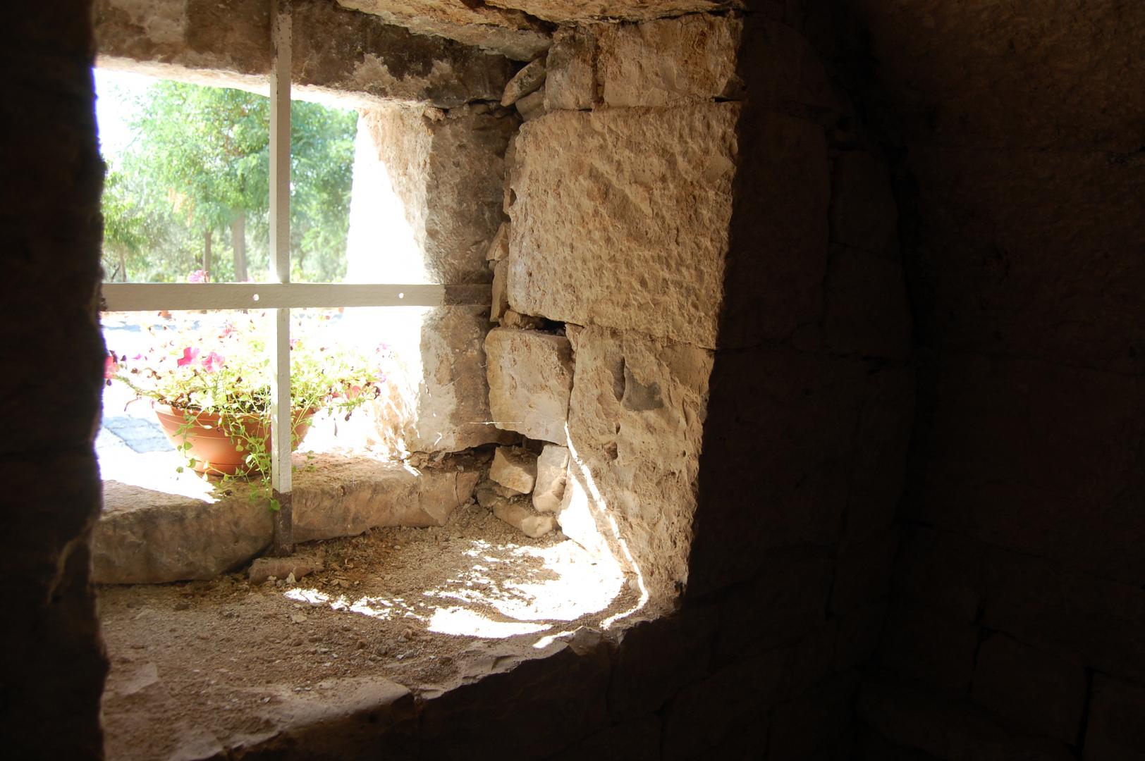 Puglia Deluxe Food & Wine Tour