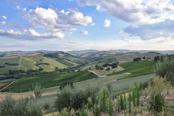 Dozza-imolese-1-2017.jpg Dozza Imolese