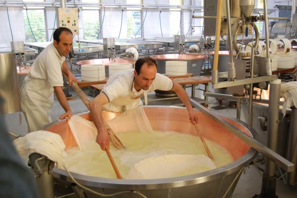 Parmigiano-reggiano-6-2011.jpg ER-Parmigiano