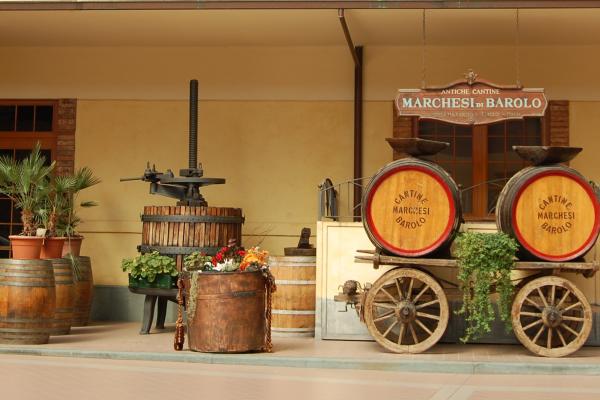 Piemonte - Winery
