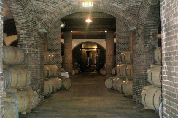 Piedmont Wine Tour